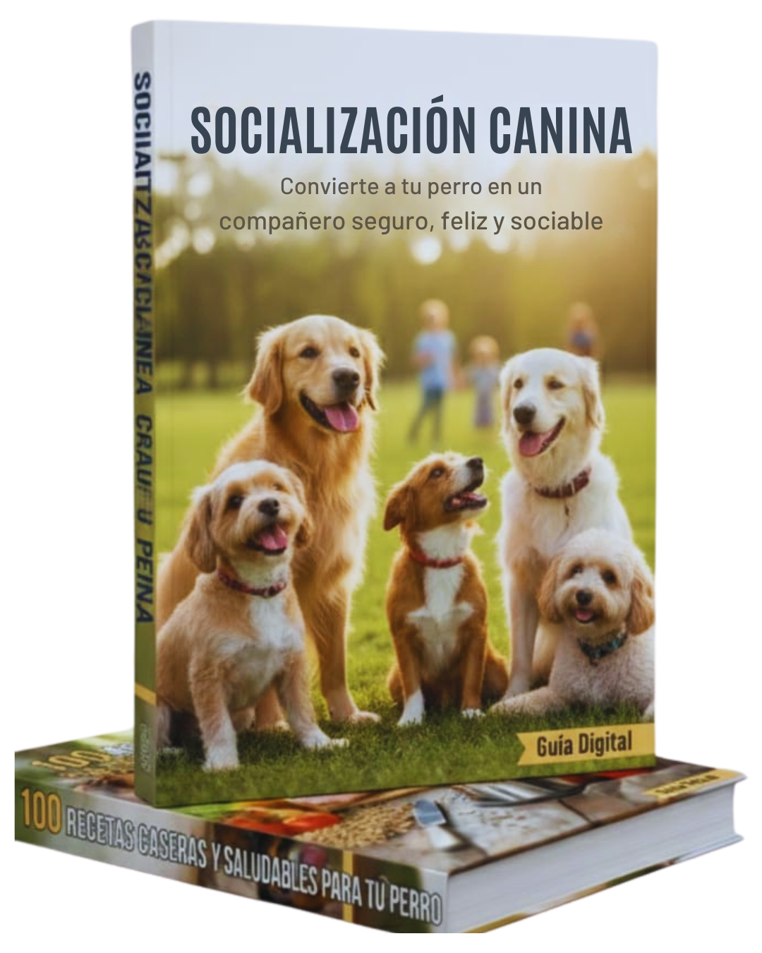 Socialización Canina