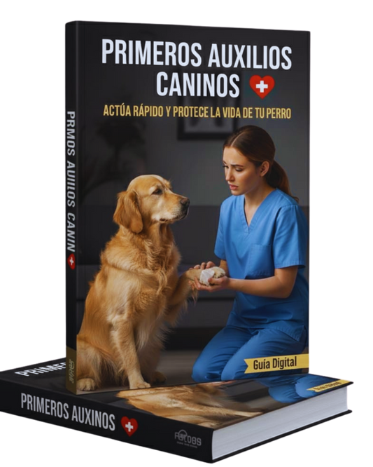Primeros Auxilios Caninos